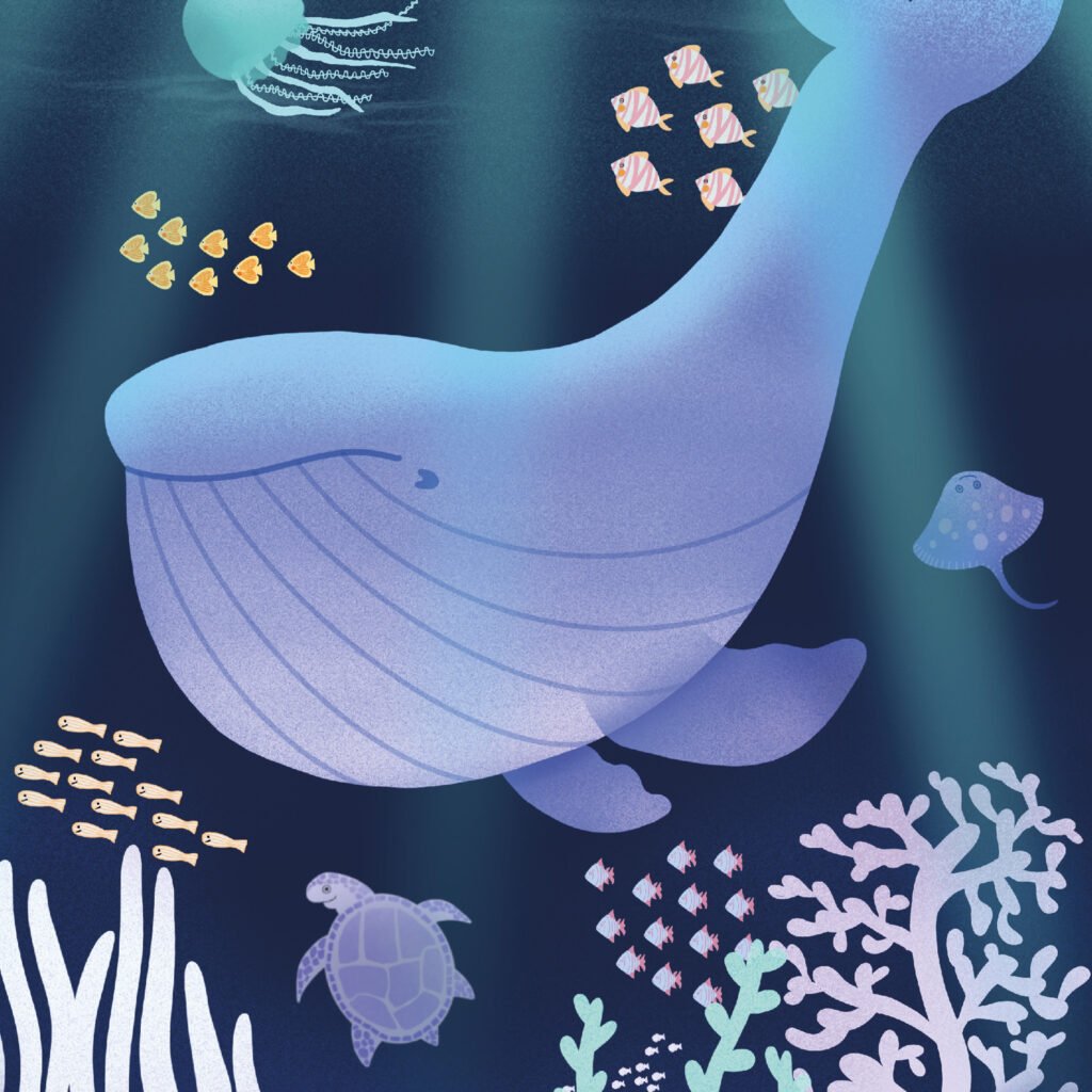 Illustration Baleine